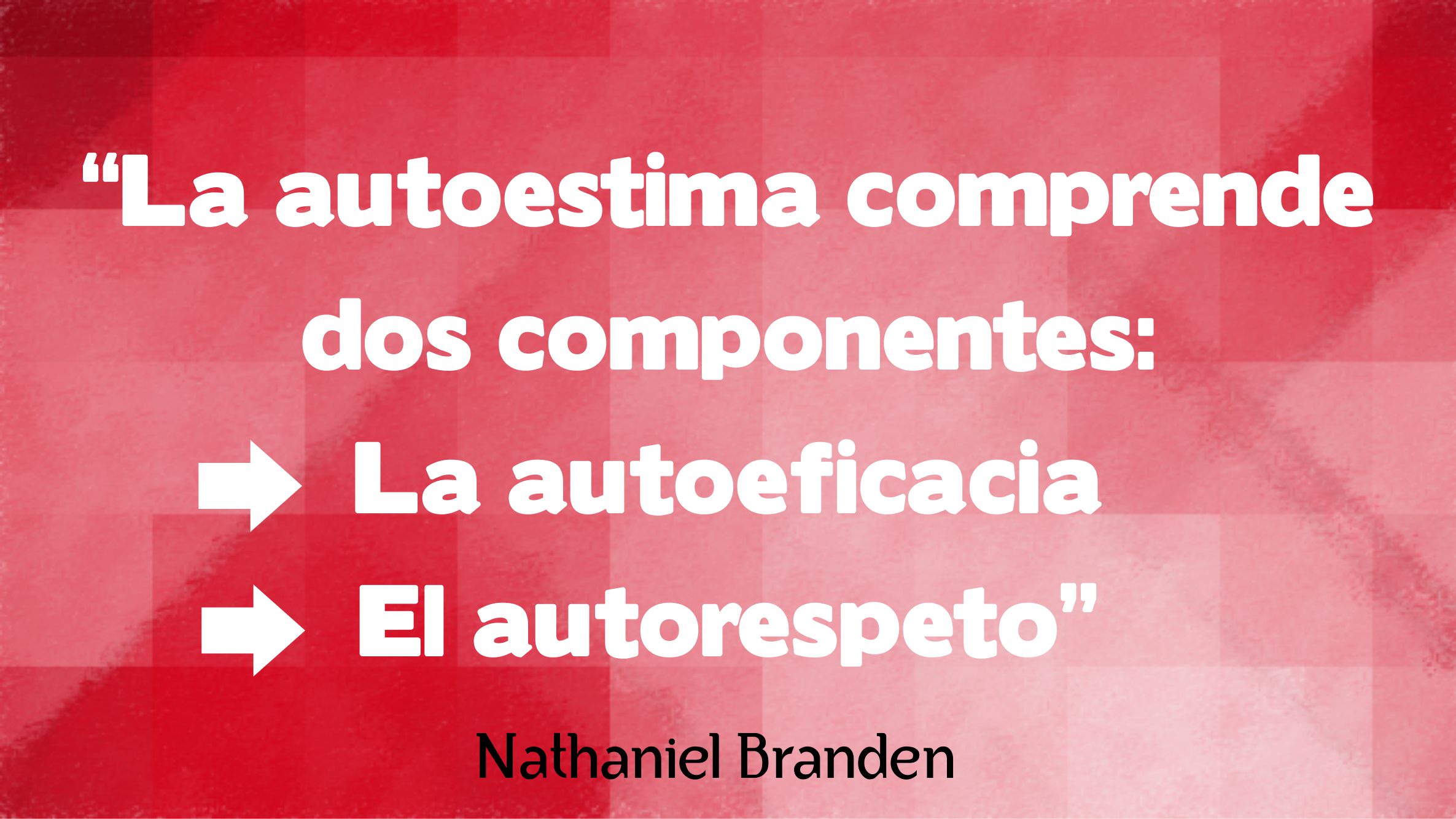 Libro El Poder De La Autoestima Nathaniel Branden Pdf